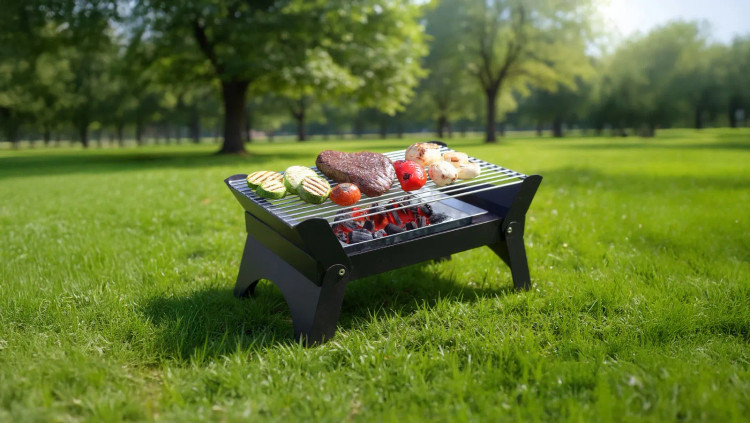 باربیکیو ذغالی گرین لاین مدل GNQDRBBQSTBK تاشو